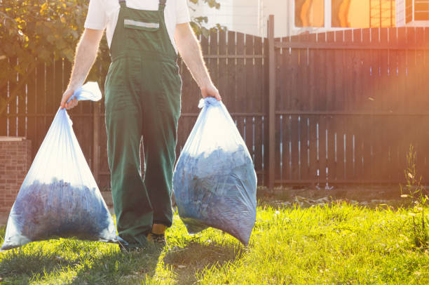 Best Same-Day Junk Removal  in Mehlville, MO
